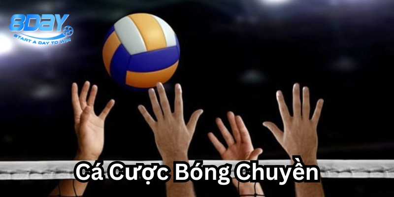 Cá Cược Bóng Chuyền Là Gì? Chiến Lược Tối Ưu Hóa Lợi Nhuận